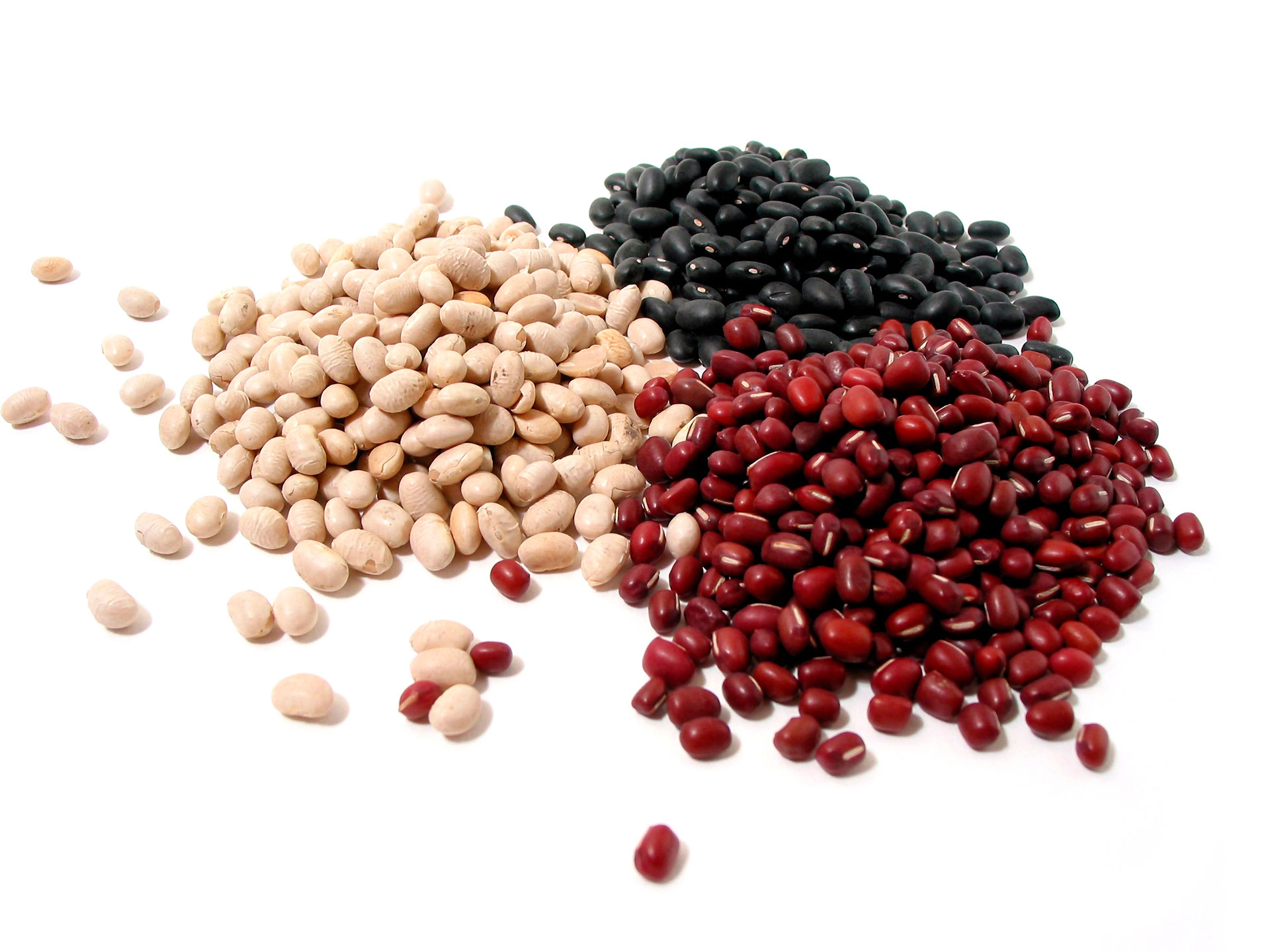 Las alubias o judías blancas también son llamadas frijoles, habichuelas o porotos, según la región