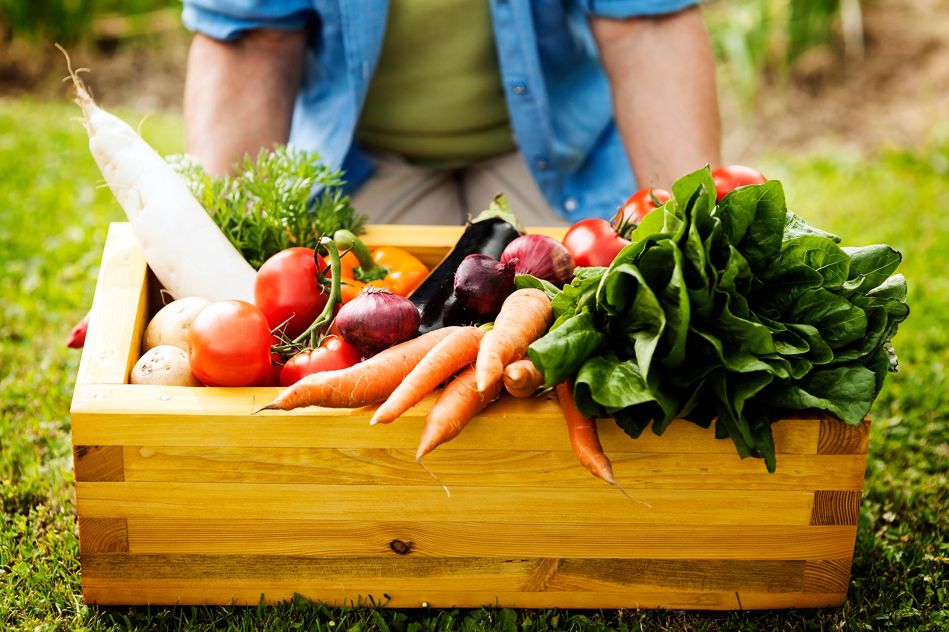 En una dieta vegetariana es importante consumir una gran variedad de vegetales