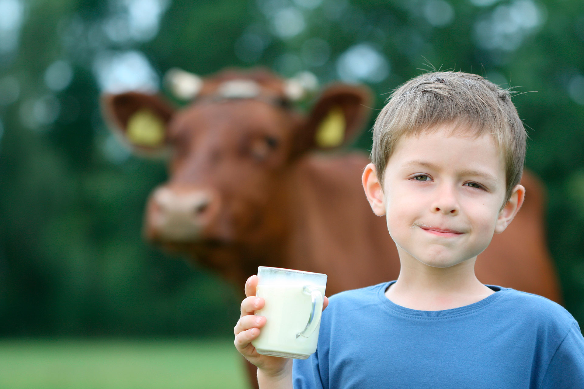 La leche es rica en calcio