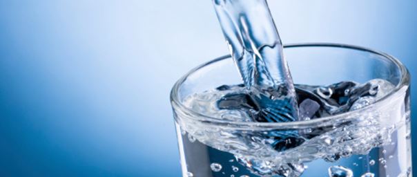 El agua permite el buen funcionamiento de los órganos del cuerpo