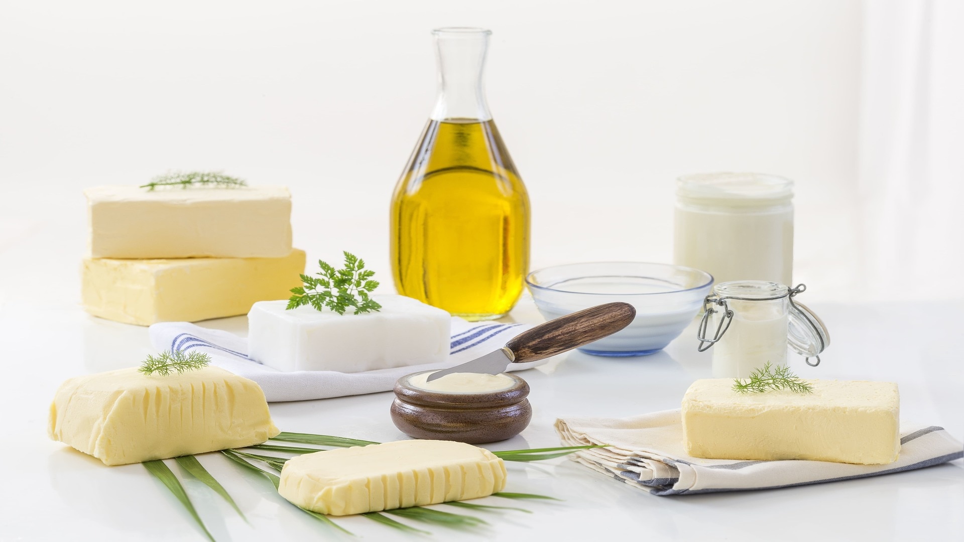grasas y aceites