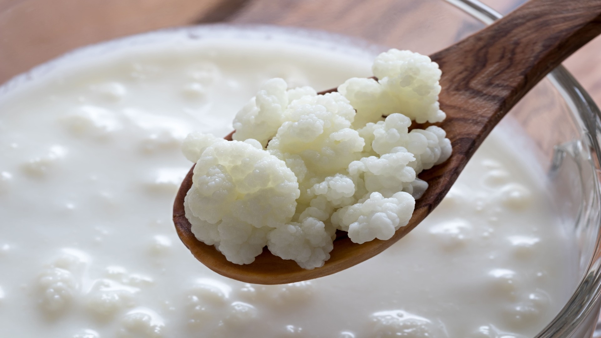 kefir