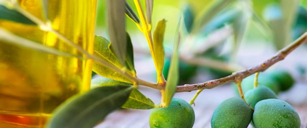 aceite oliva