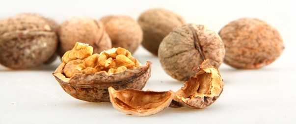 nueces