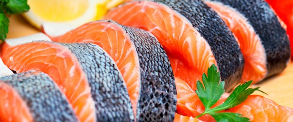 salmon