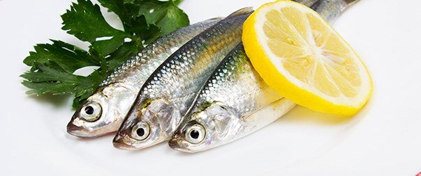 sardinas