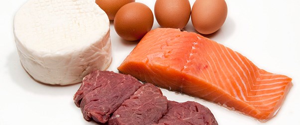 Proteínas de origen animal