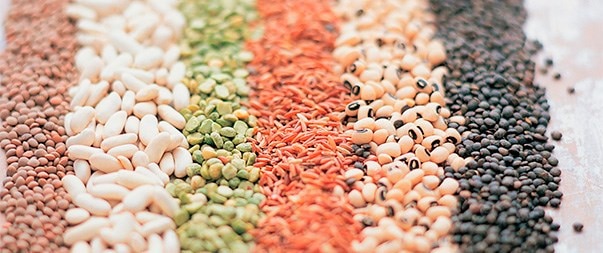 Proteínas de origen vegetal