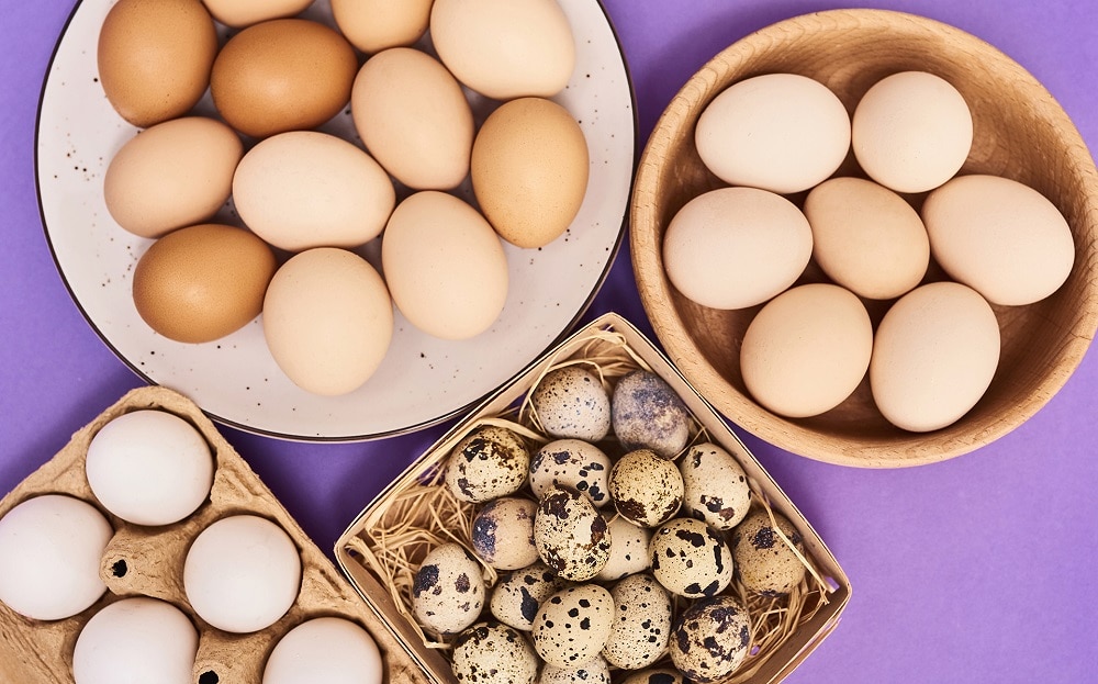 huevos