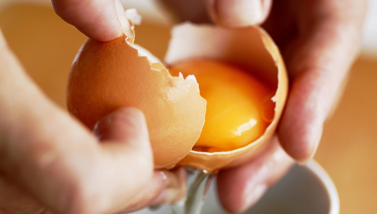 huevos