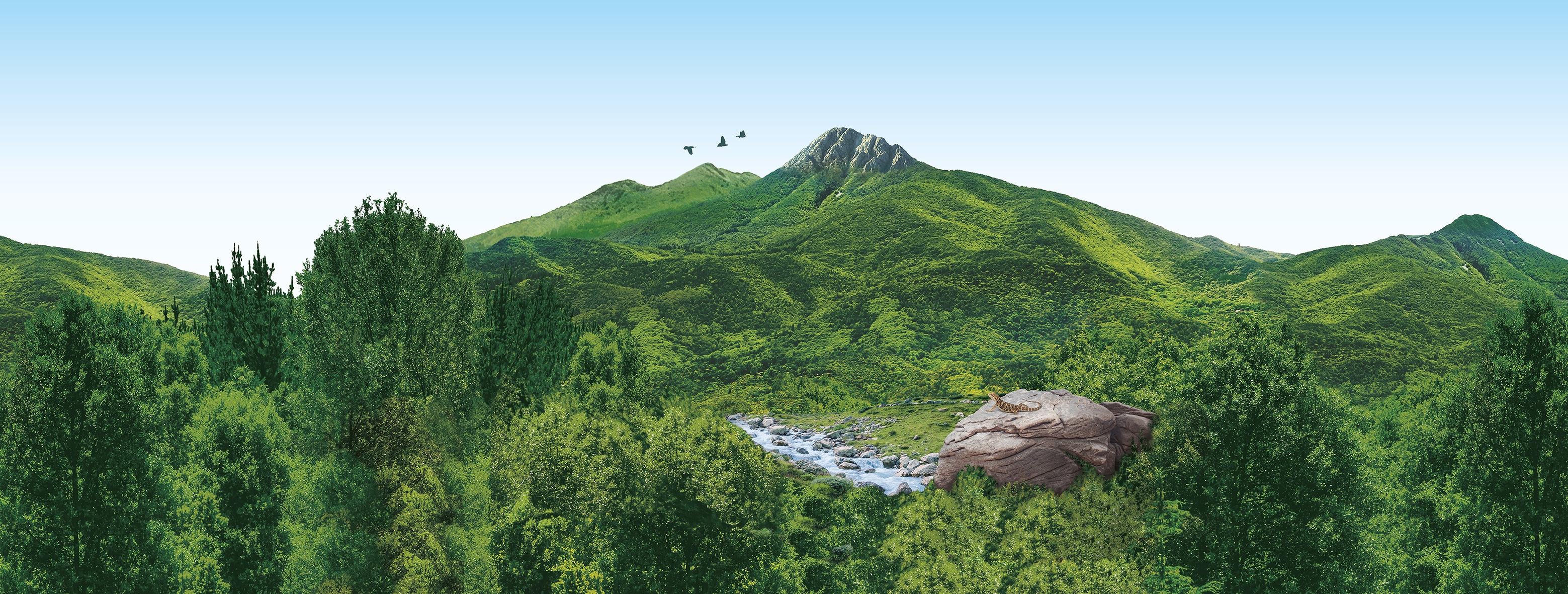 montaña