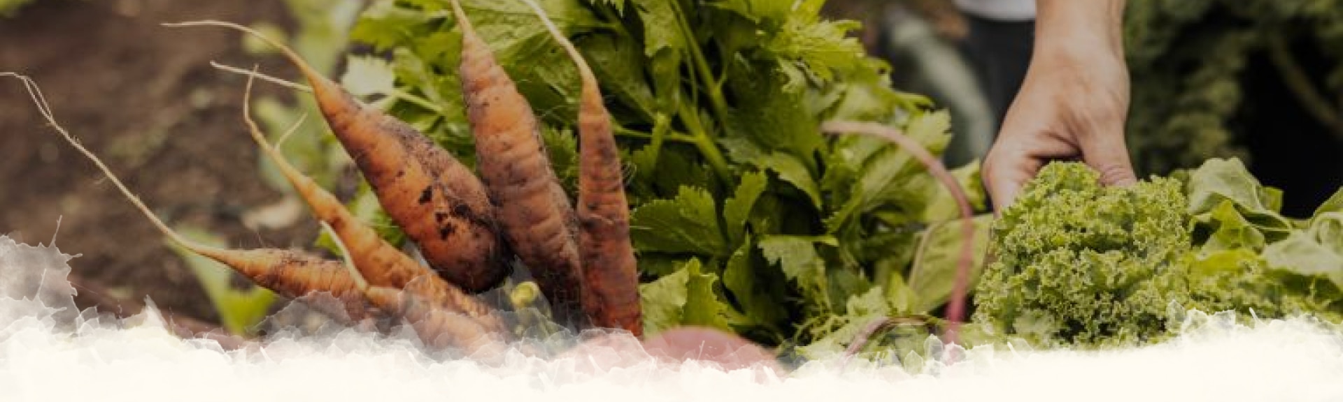 Alimentos de proximidad y de temporada