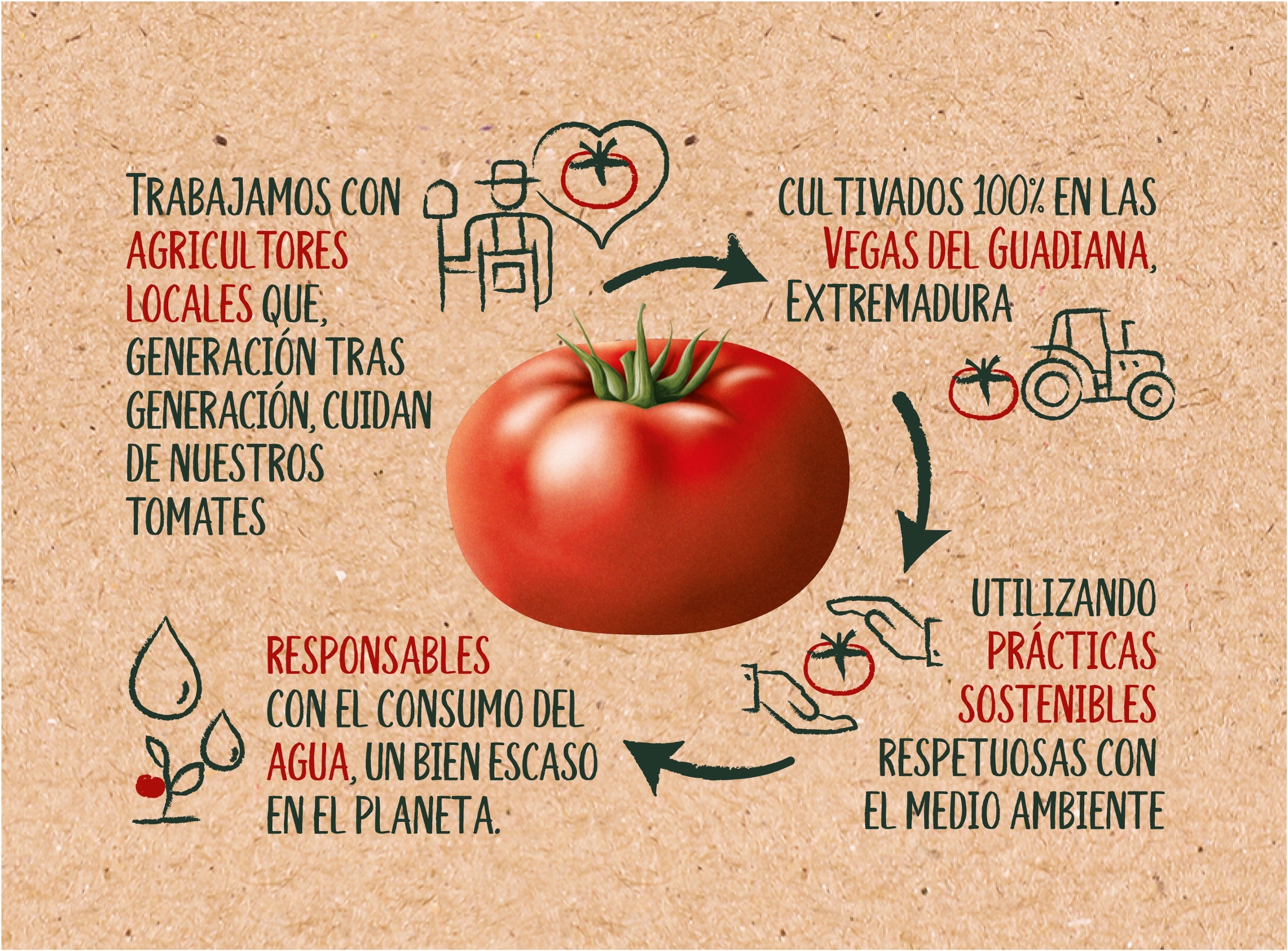 Solis 50 anos