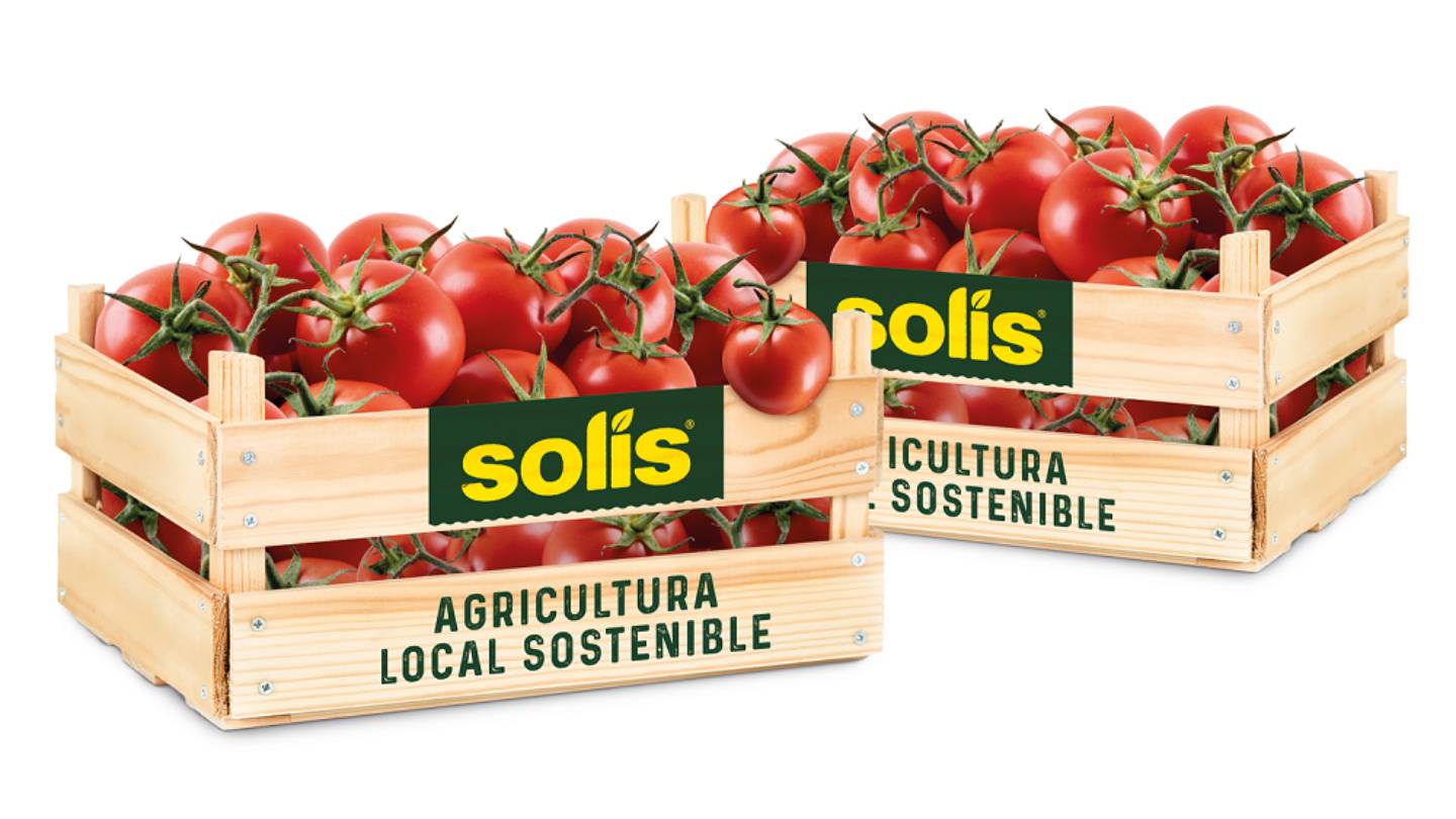 Cultivo tomate