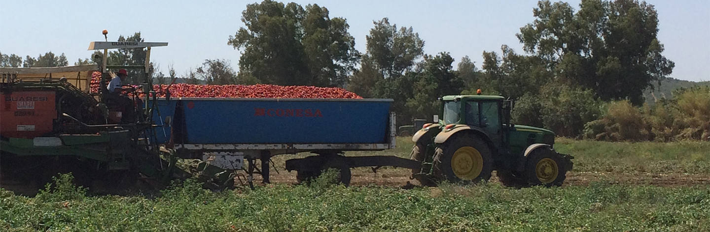 nestle-dona-mas-de-53-tonaleadas-tomate-solis
