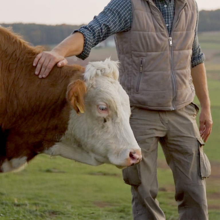 img-mob-bienestaranimal