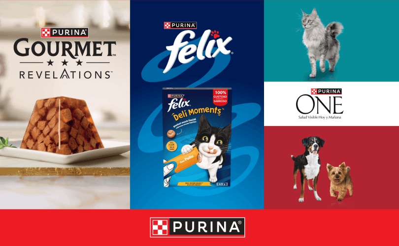 Adaptación Banner Black Friday Purina 2025