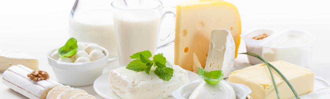 lácteos
