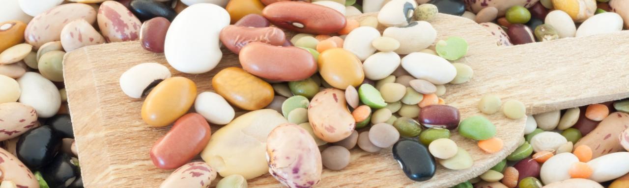 legumbres