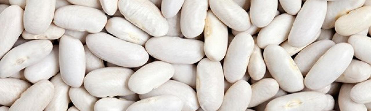 judías blancas