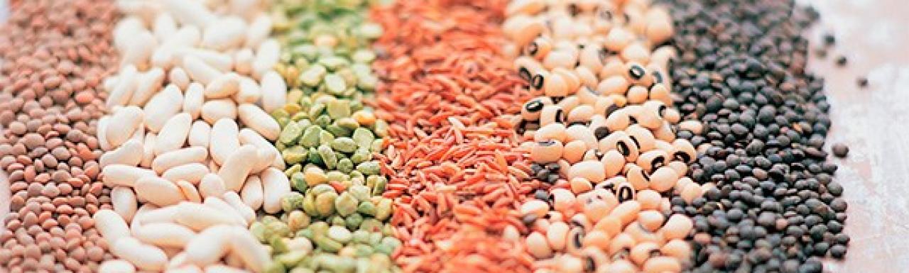 Proteínas de origen vegetal