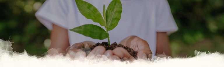 Beneficios para la salud del planeta