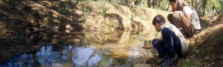 img-desk-header_jarabugo