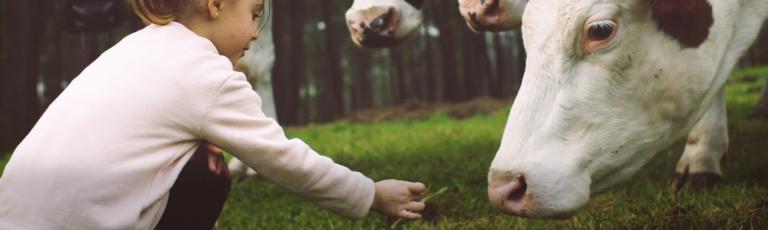 header-historia-radio-lechero