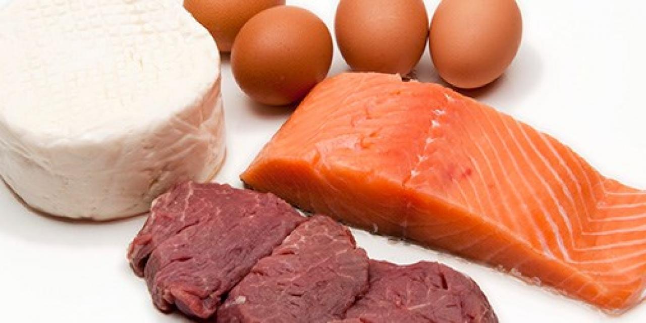 Proteínas de origen animal