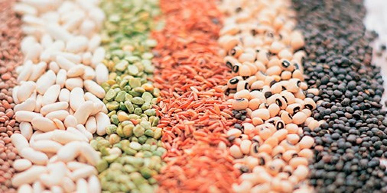 Proteínas de origen vegetal