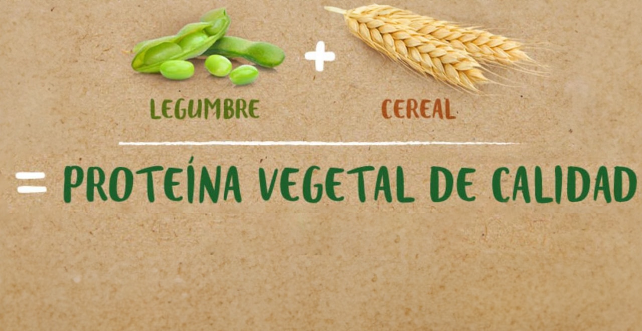 Proteínas de alta calidad