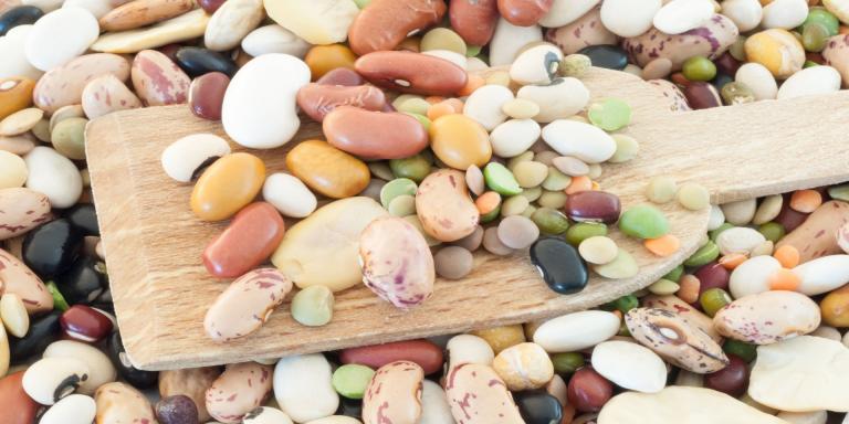 legumbres
