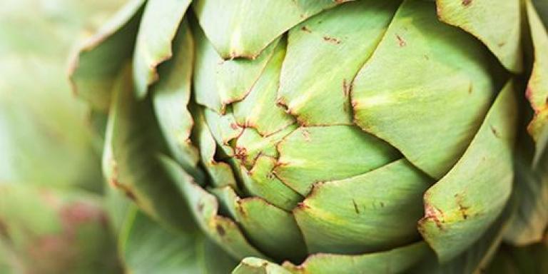 Alcachofa