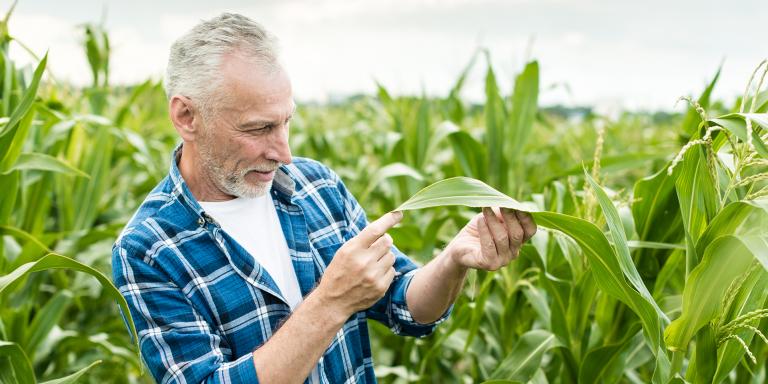 agricultura sostenible