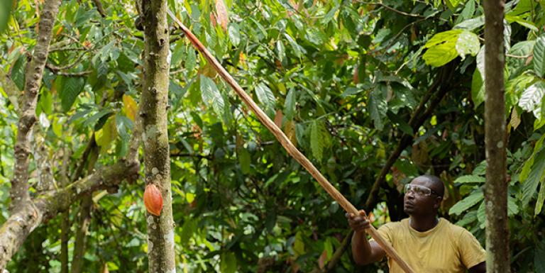 PRÁCTICAS DE AGRICULTURA REGENERATIVA