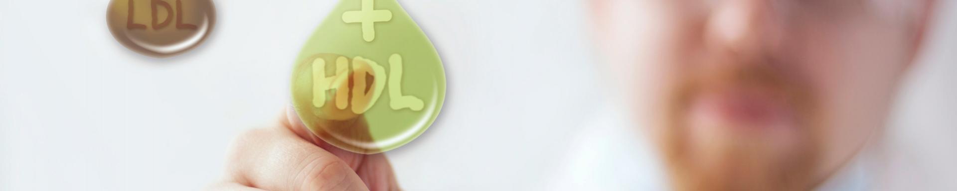 El colesterol es una grasa que circula por la sangre