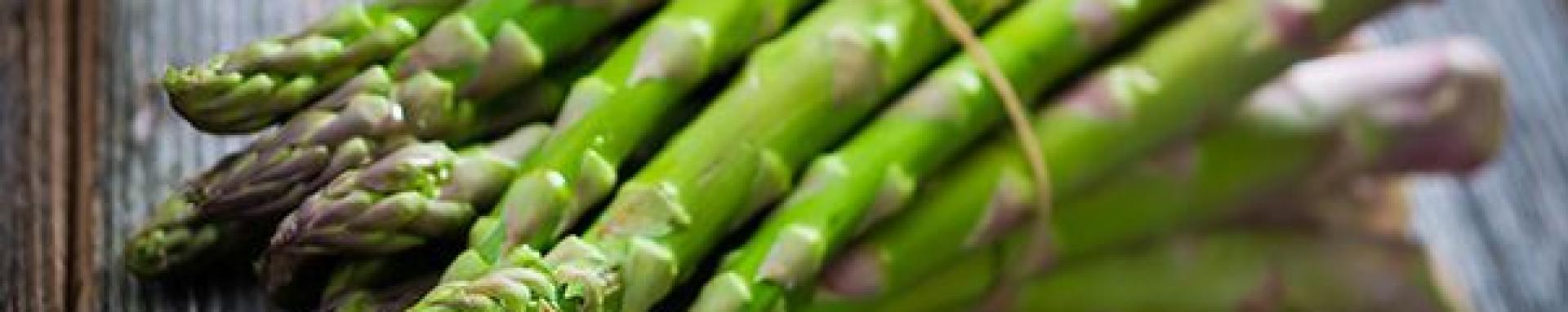 espárrago