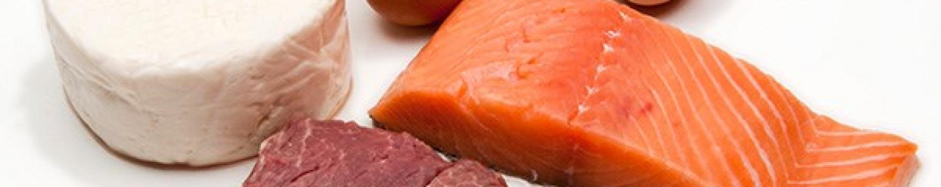 Proteínas de origen animal