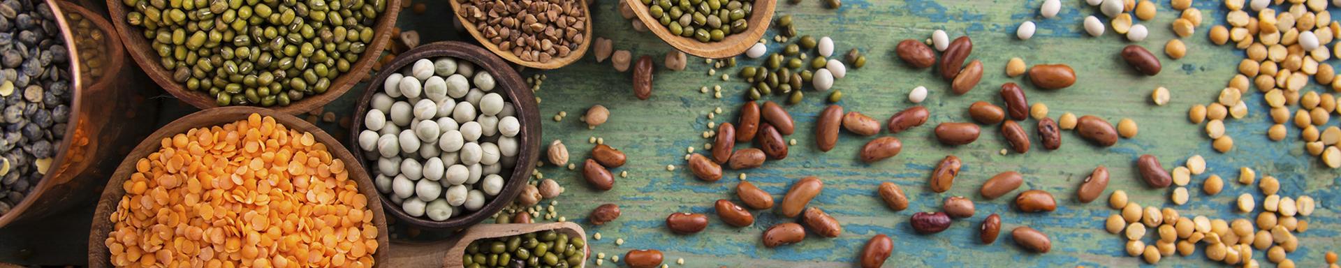 Fructooligosacáridos, una fibra especial