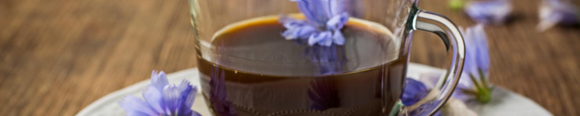 achicoria soluble