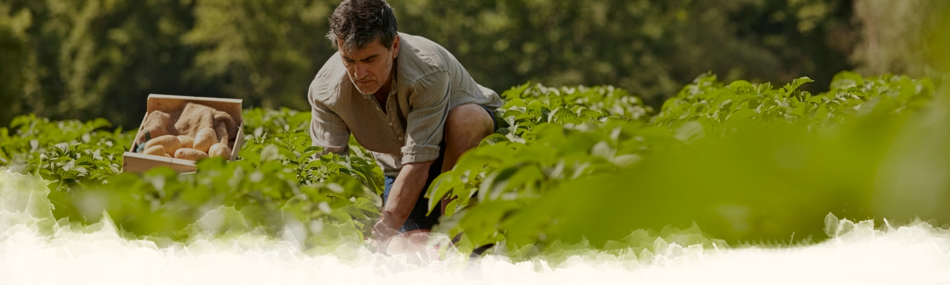 desperdicio alimentario