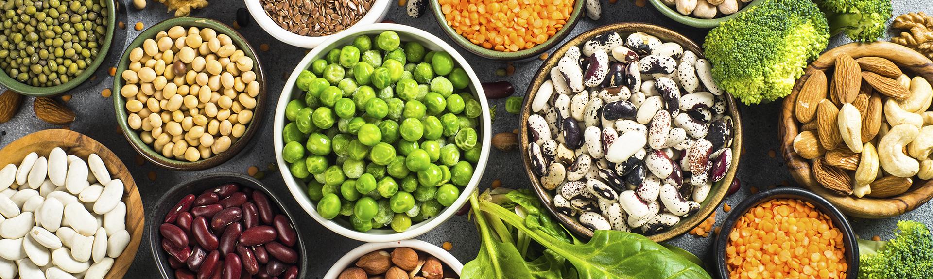 cuales-son-las-grandes-fuentes-de-proteina-vegetal.