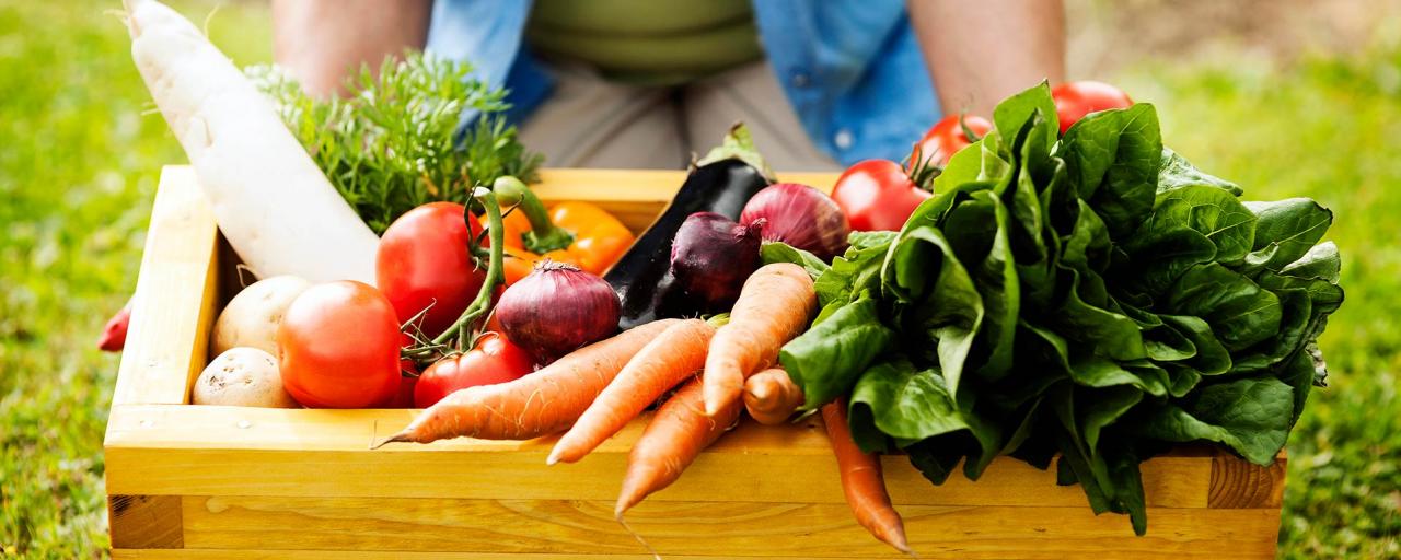 Las hortalizas son ricas en vitaminas