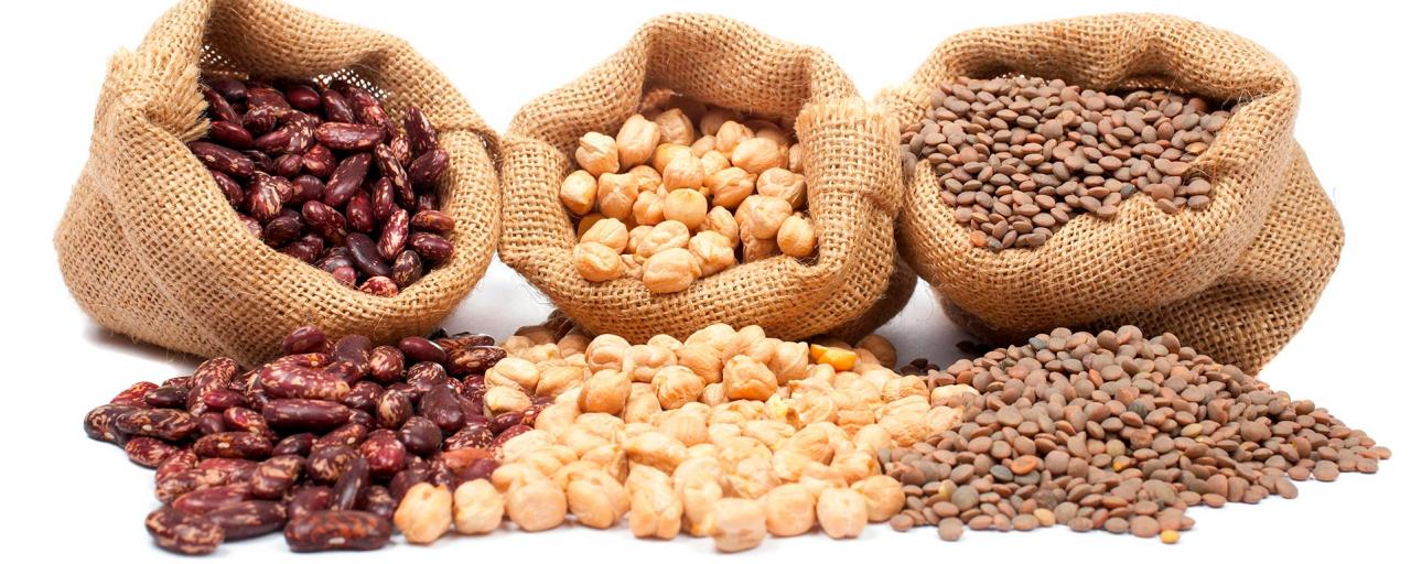 Las legumbres aportan proteínas vegetales
