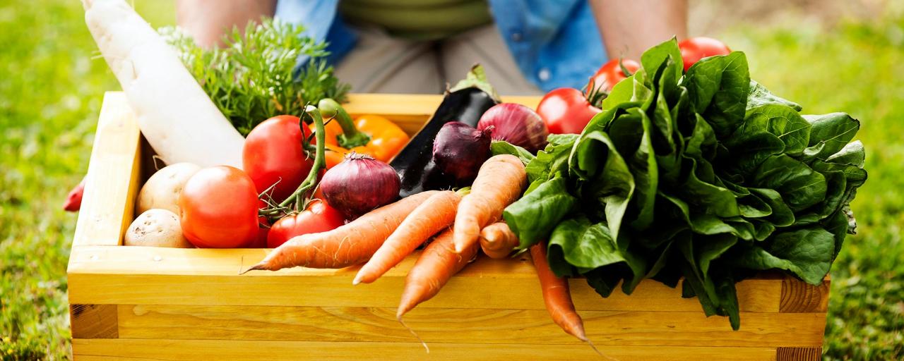 En una dieta vegetariana es importante consumir una gran variedad de vegetales