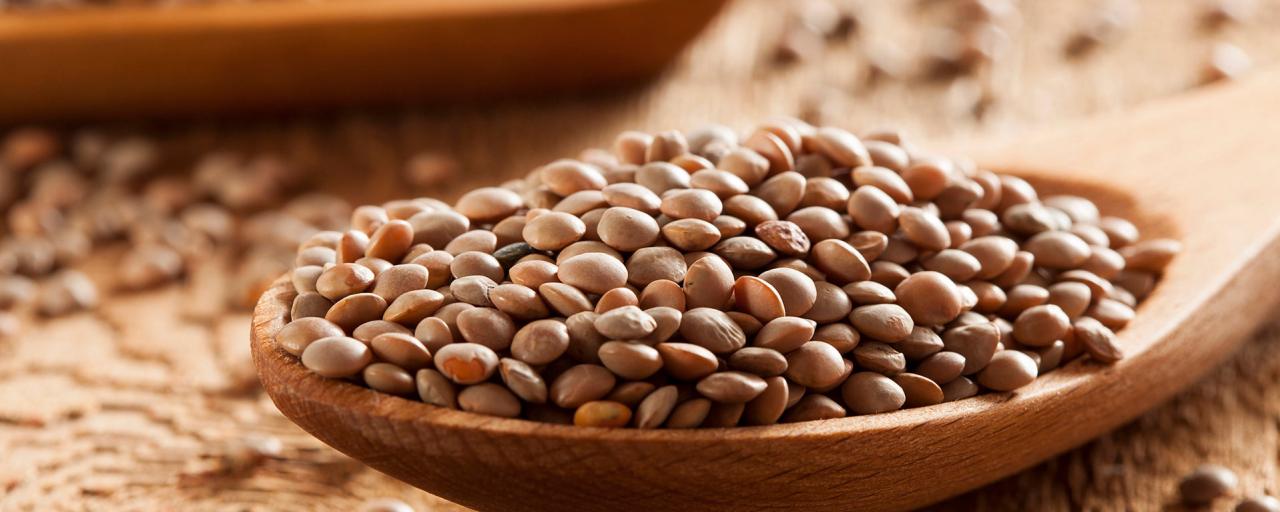 Las lentejas son las únicas legumbres que no necesitan remojo para hidratarse antes de cocinarlas