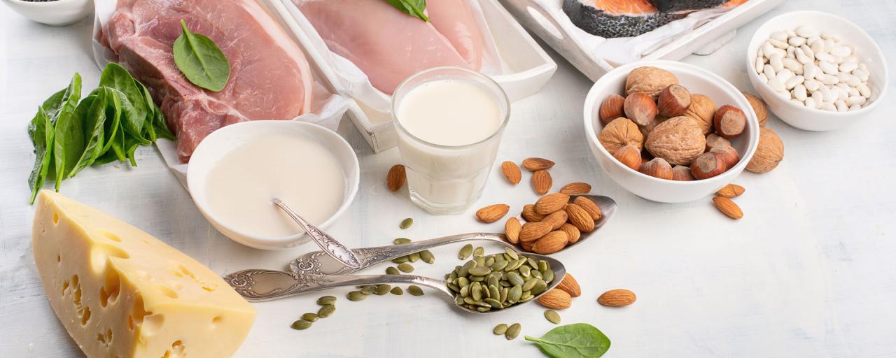 los 5 grupos alimenticios